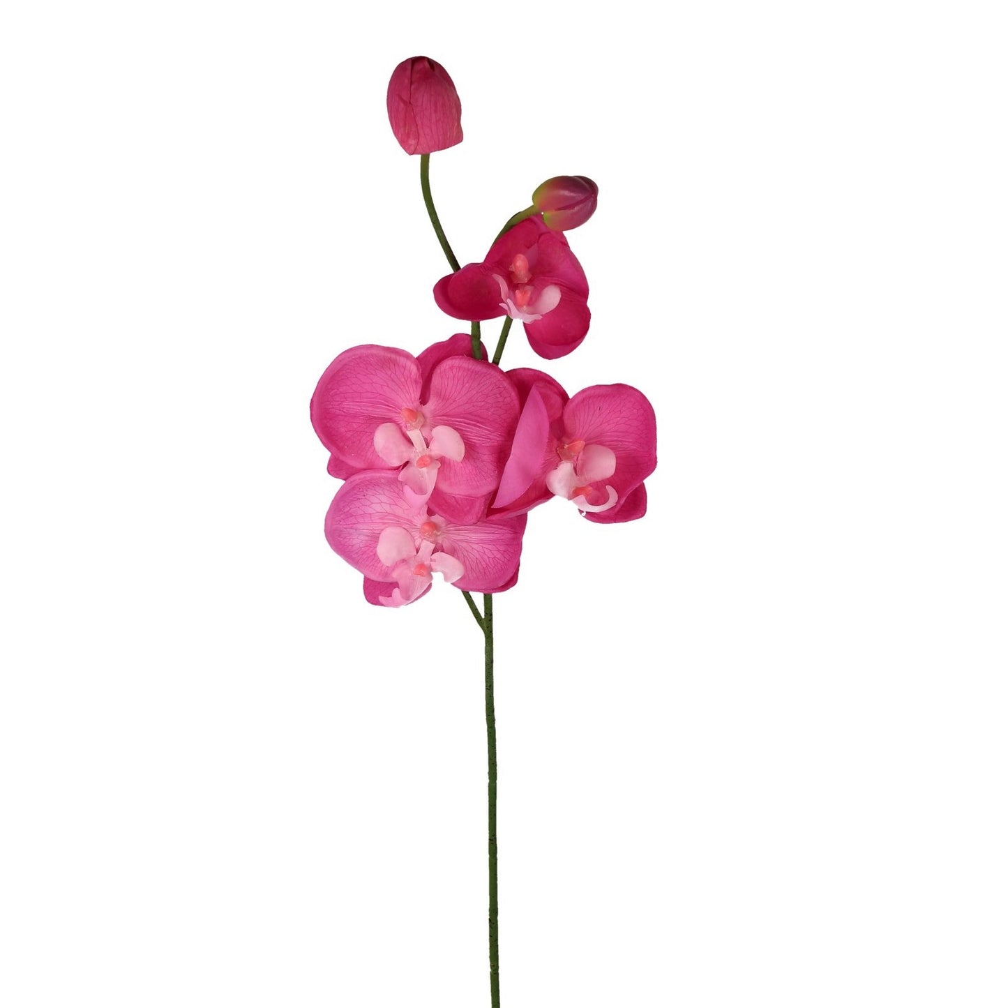 Orchidee Pink - 63 cm