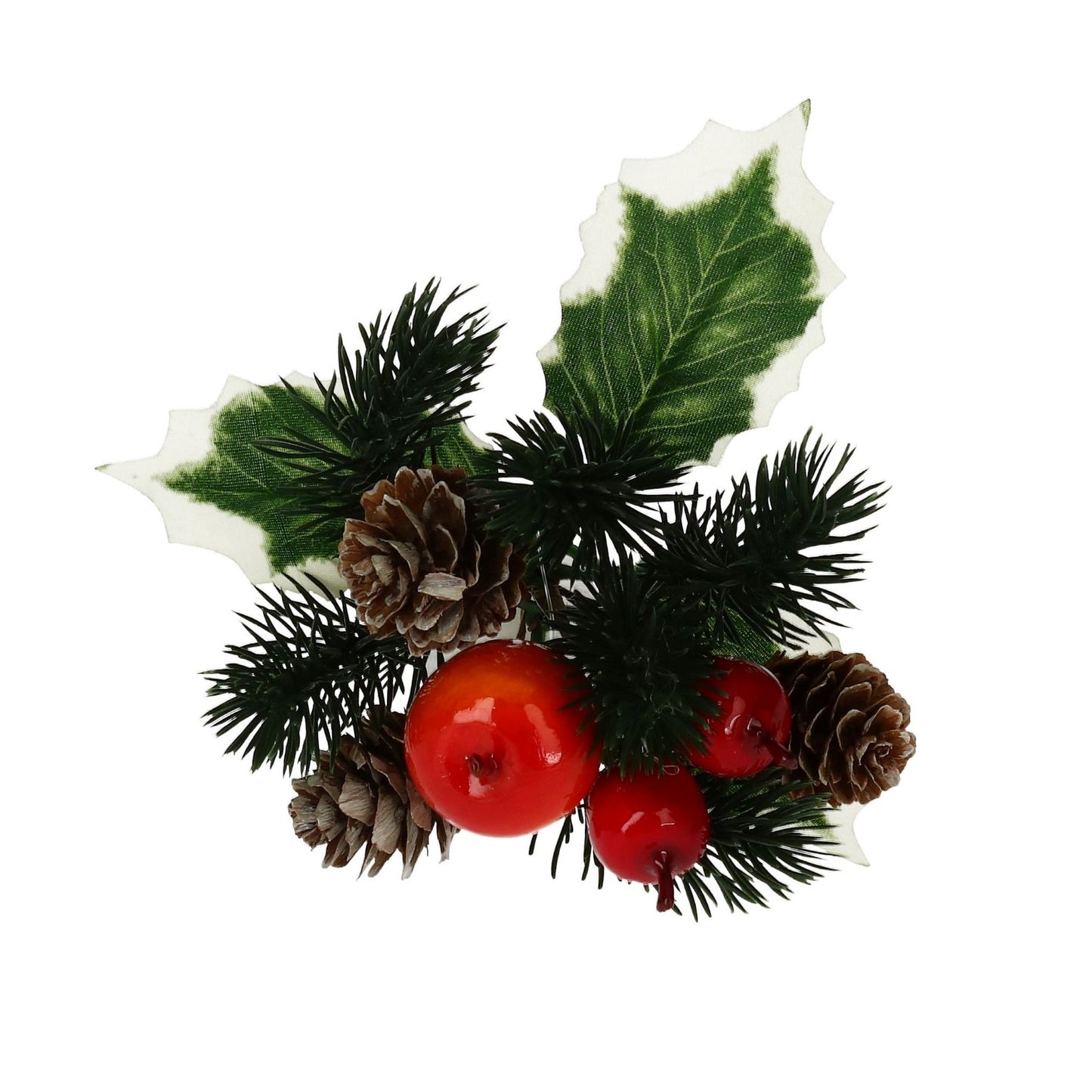 Pick Äpfel Tanne Ilex Zapfen