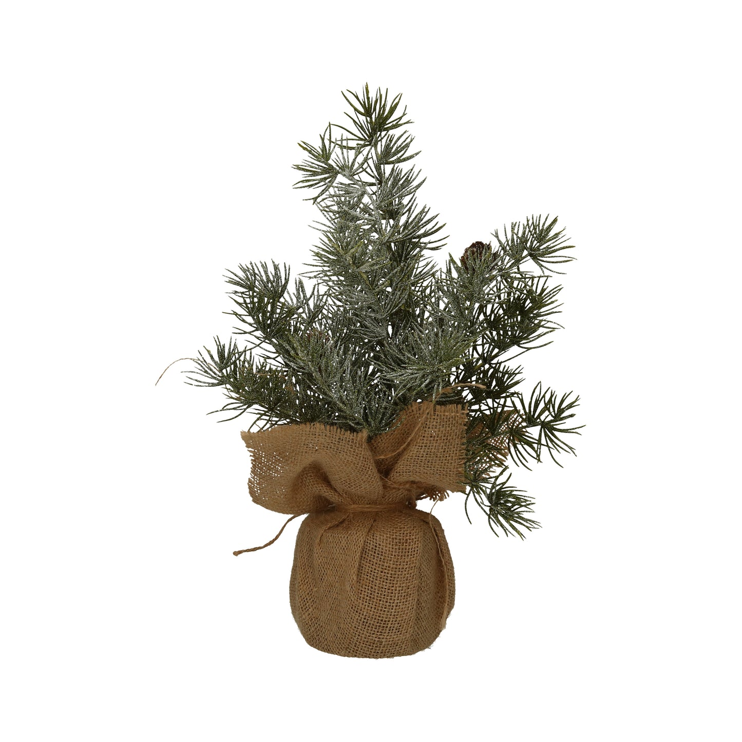 Kiefernbaum im Sack 20x35