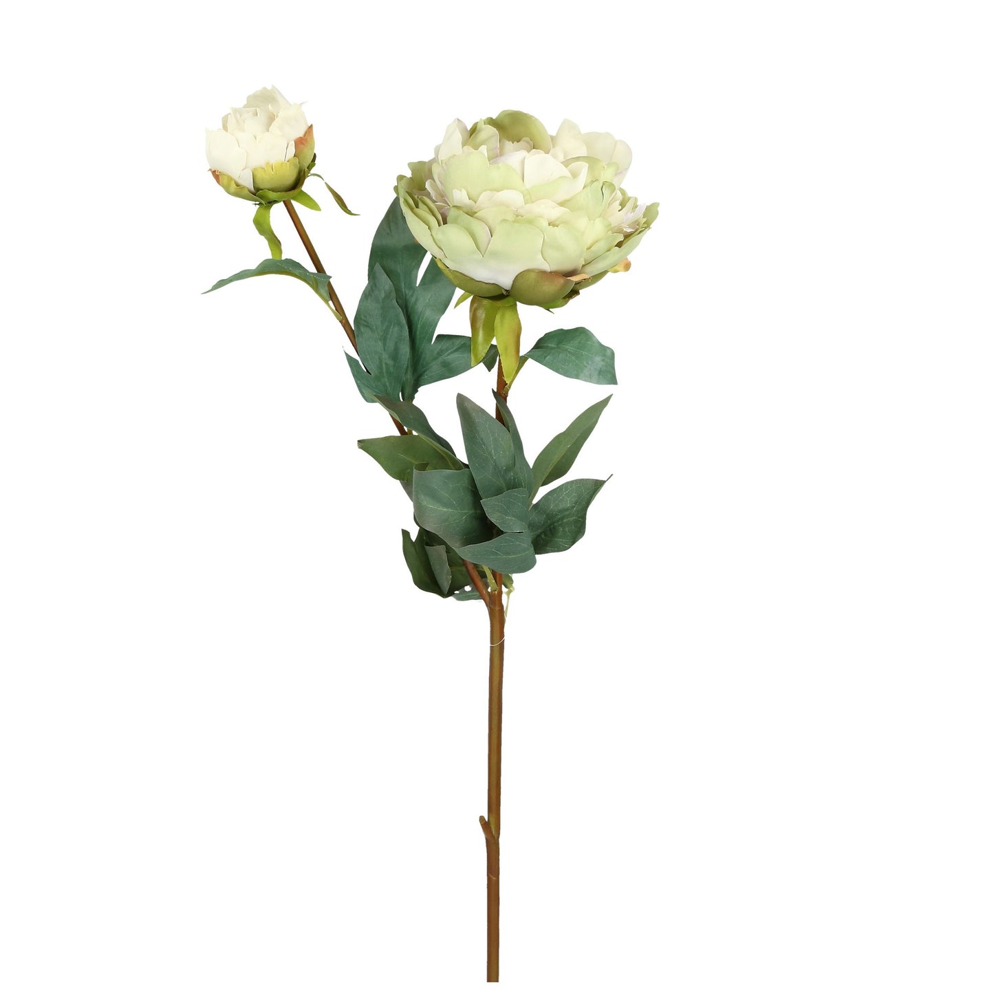 Blüte Päonie hellgrün 91 cm