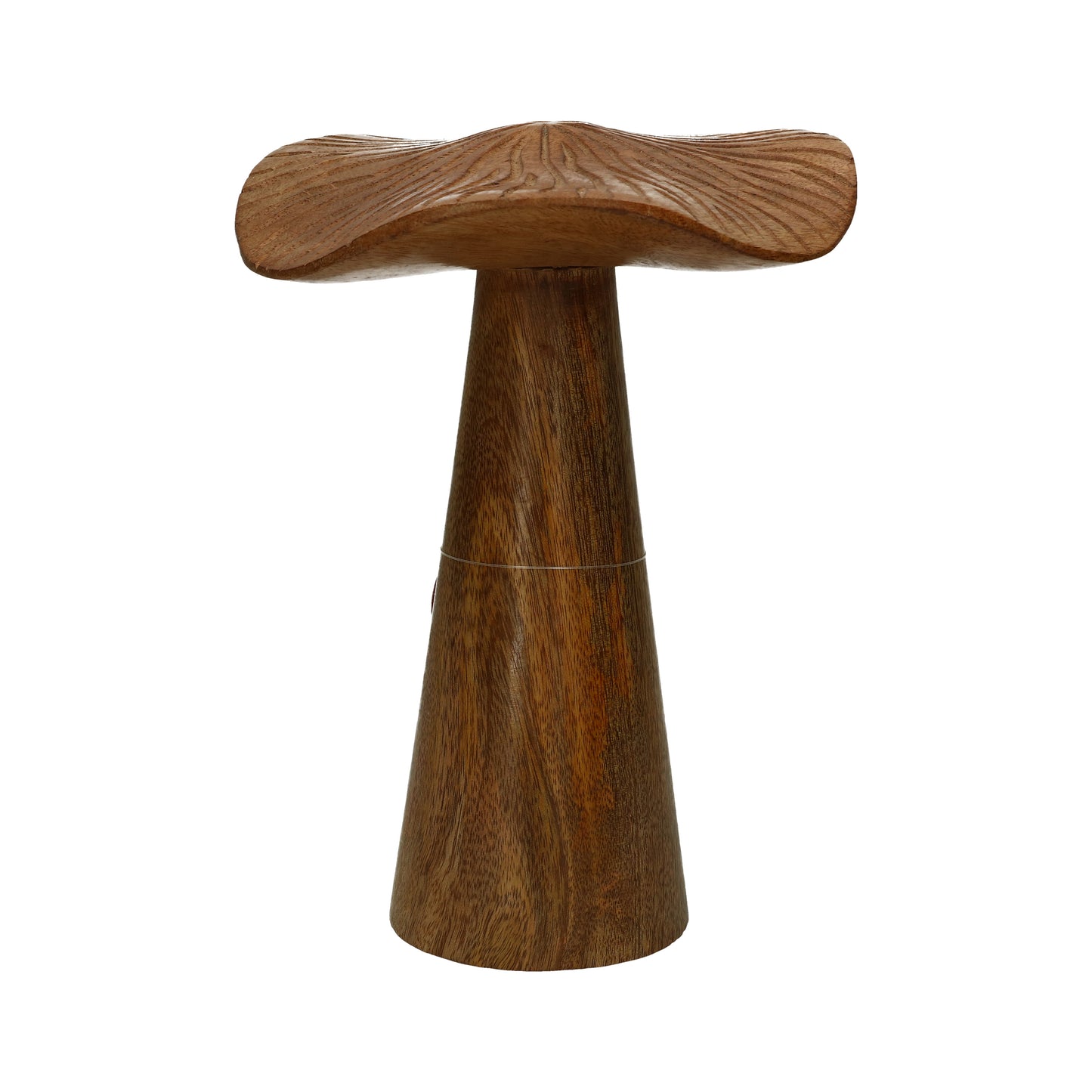 Pilz Mangoholz 21x15x15 cm