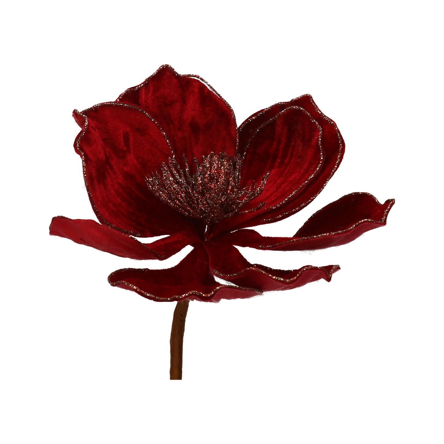 Magnolie bordo glänz.Mitte 16x60