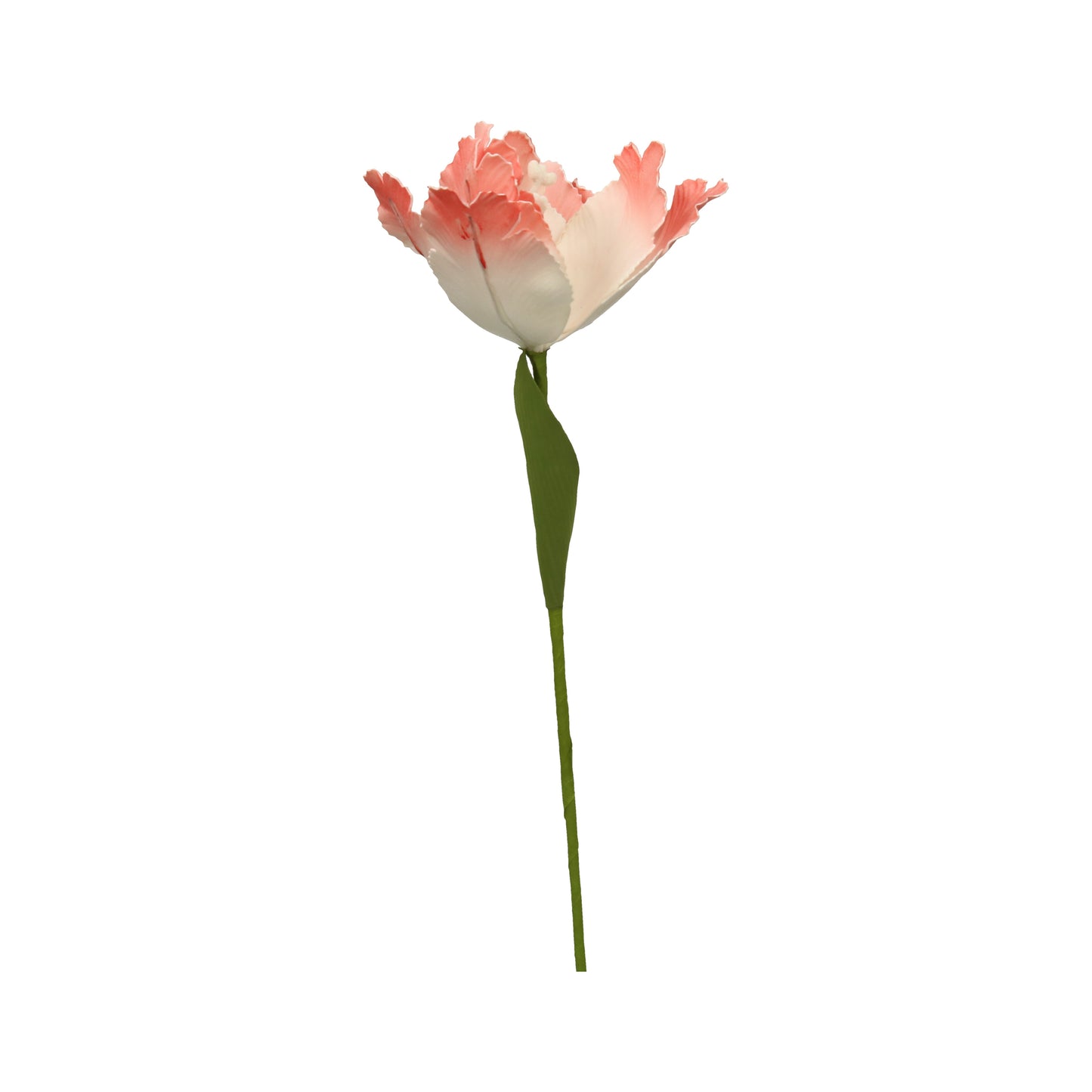 Tulpe Rosa 60cm
