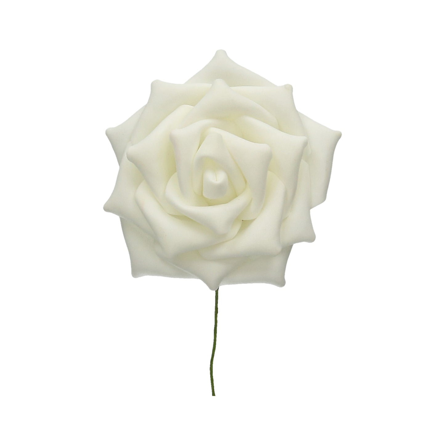 Schaumrose weiß 13 cm