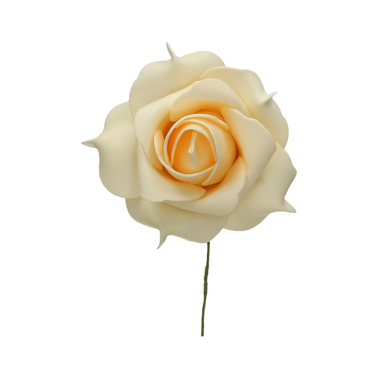 Schaumrose orange 13 cm