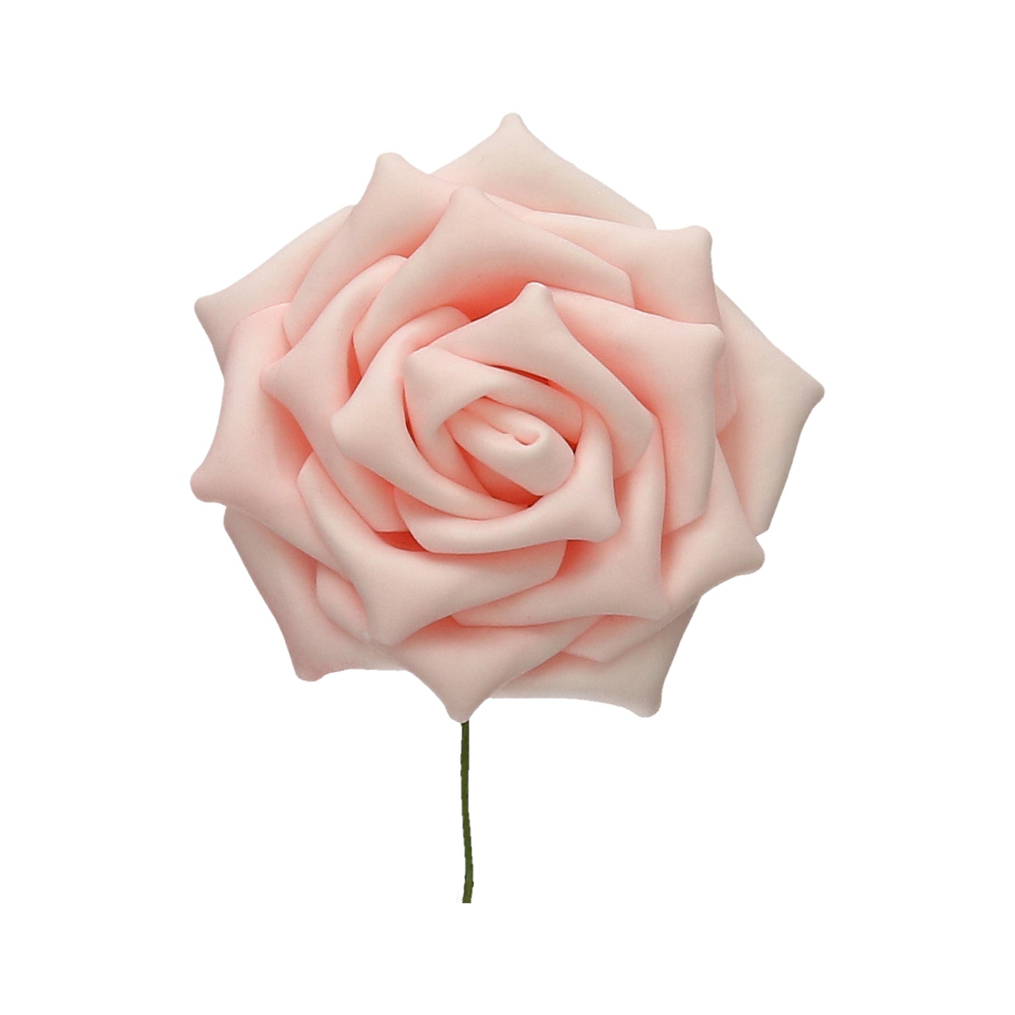 Schaumrose rosa 13 cm