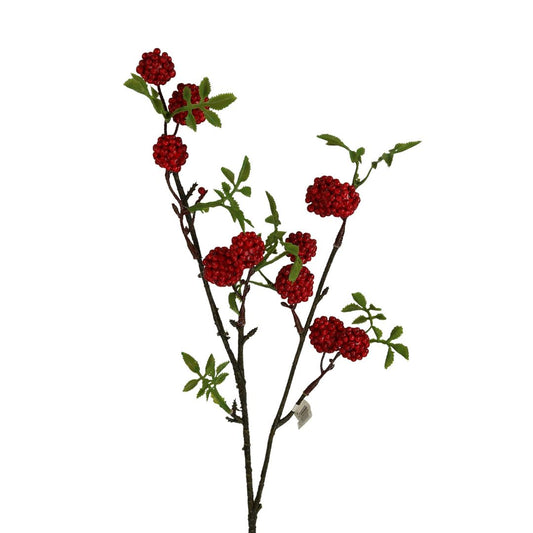 Zweig Maulbeere rot 60 cm