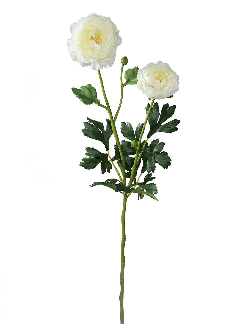 Ranunkel x2 weiß 70 cm