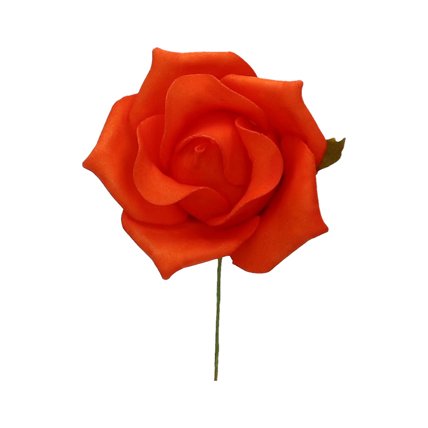 Schaumrose orange 7 cm