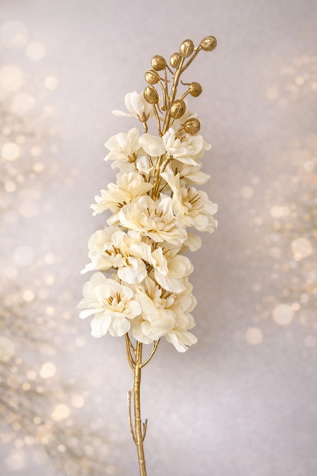 Delphinum creme/gold 80 cm VE 12