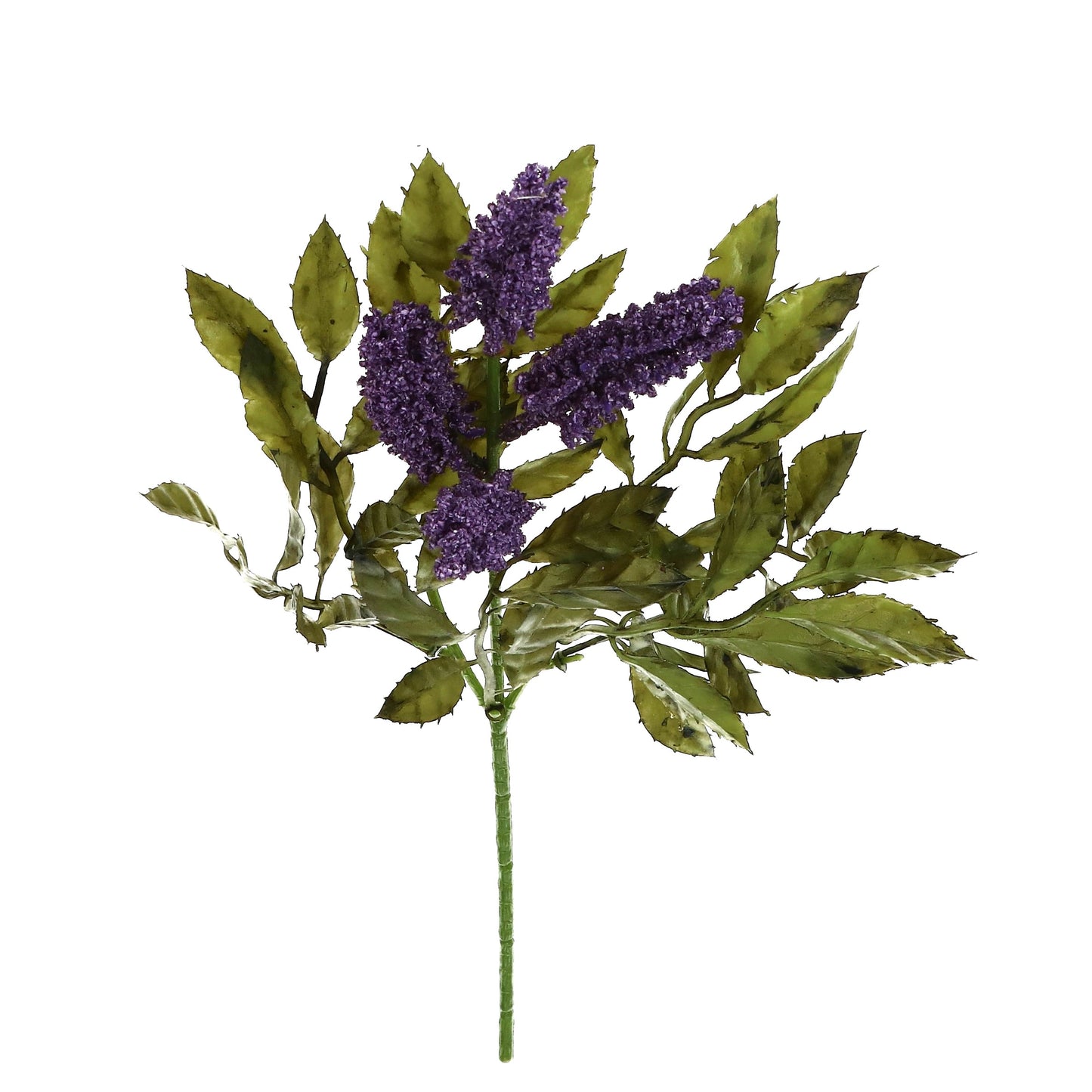 Zweig Lavendel 4 Modelle