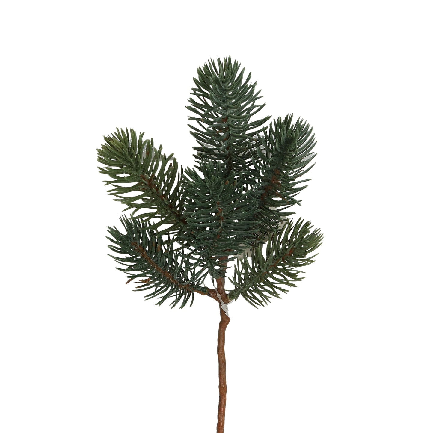 Zweig Blaufichte 25 oder 43 cm
