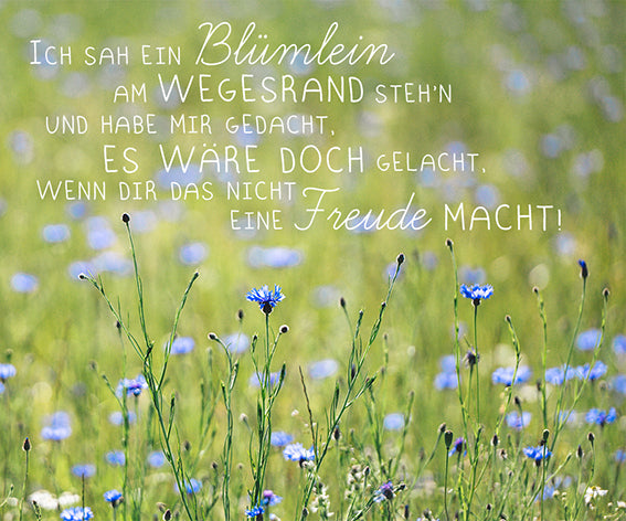 Bild "Ich sah ein Blümelein..."