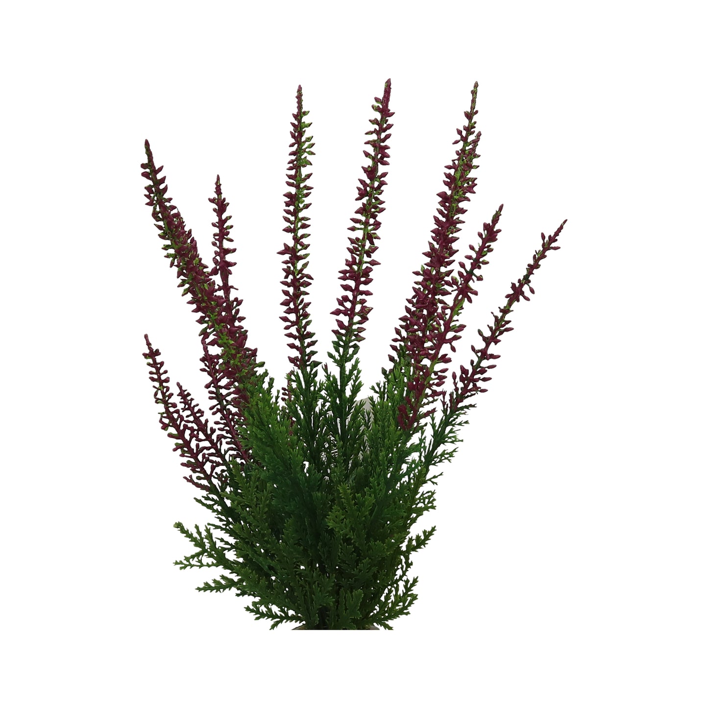 Erika Lavendel 29 cm