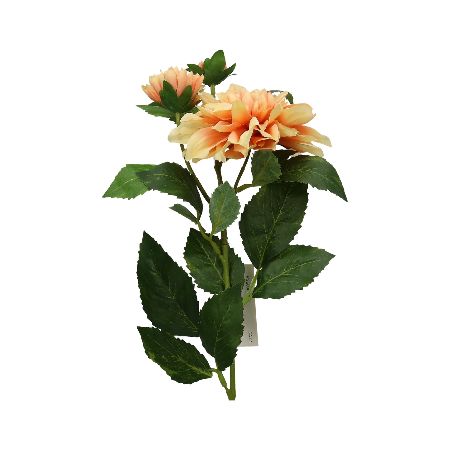 Dahlie pfirsich 62 cm