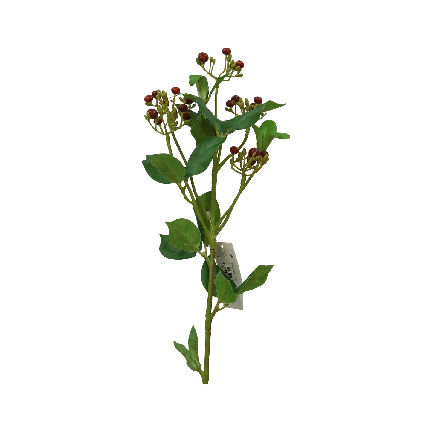 Piment 65 cm