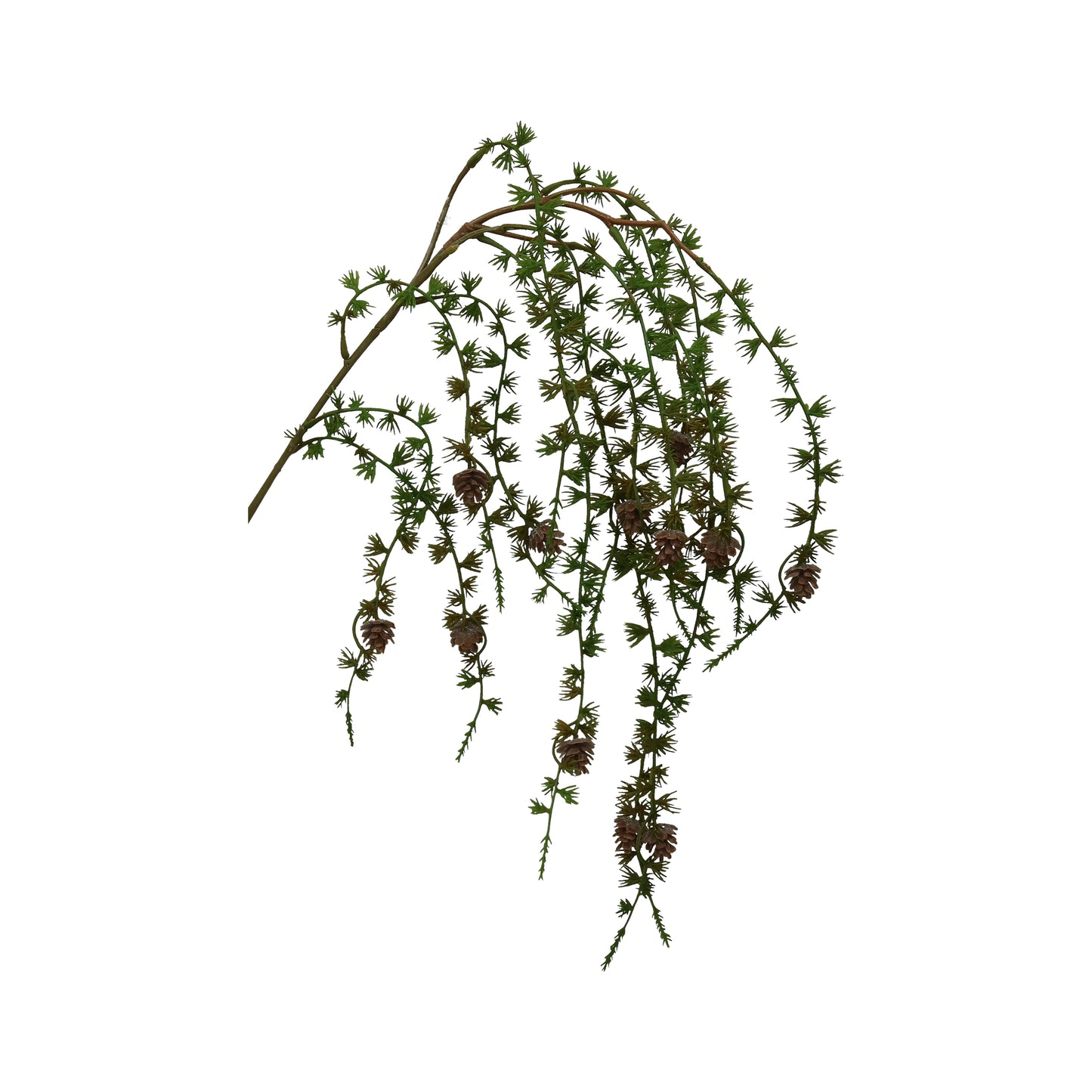 Steineibemzweig 98 cm
