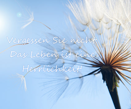 Bild "Vergessen Sie nicht..." 10x12 cm