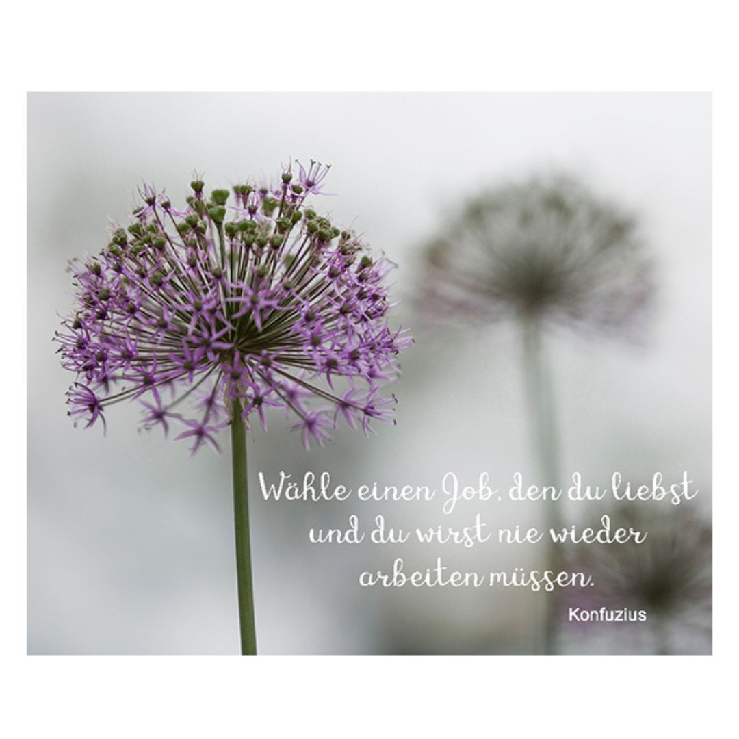 Bild "Wähle einen Job, den du liebst..." 10x12 cm