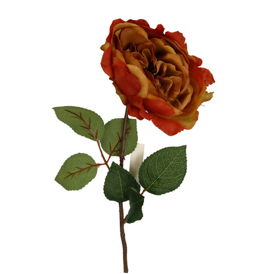 Blüte Rose, Englische beige/rot 54 cm