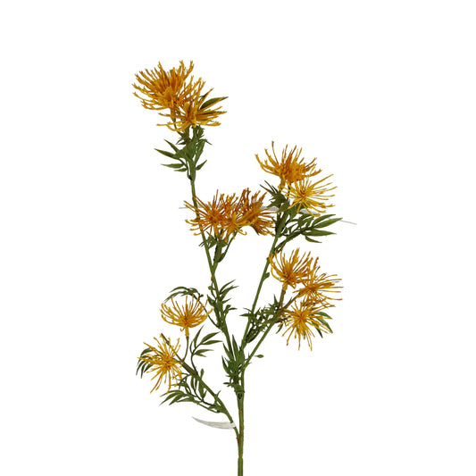 Blüte Flockenblume gelb/orange 62 cm