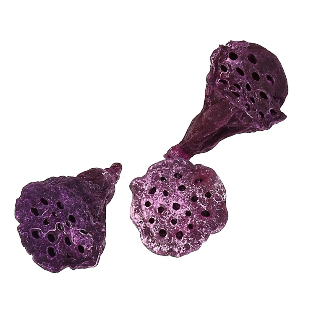 Natur Lotus mini brombeer gefrostet