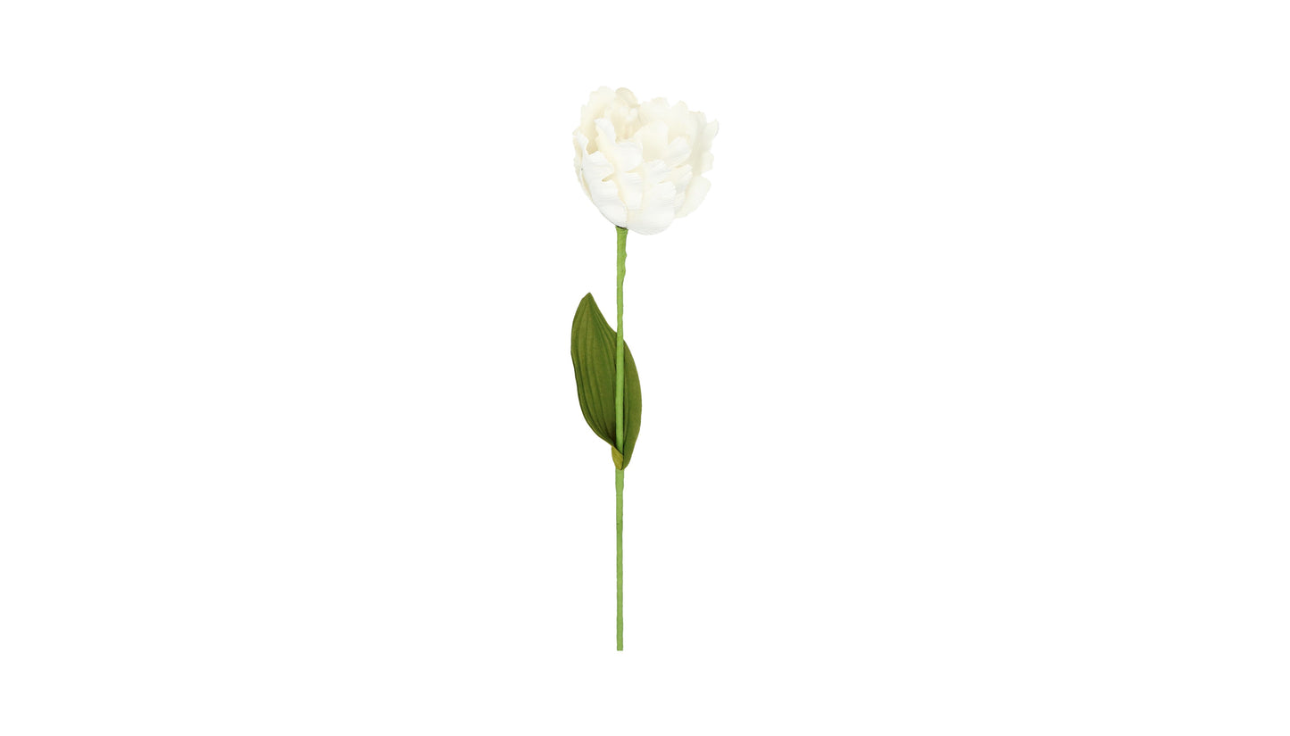 Tulpe Weiß 60 cm