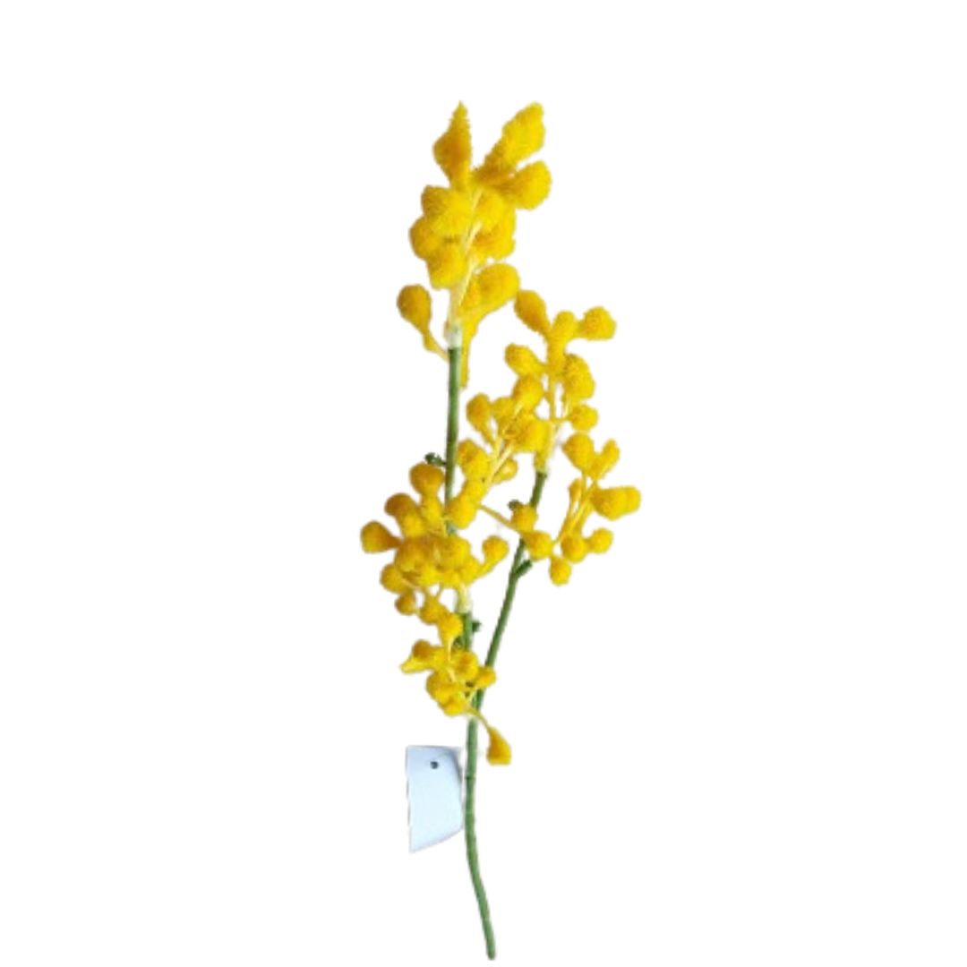 Mimose gelb 46 cm VE 24
