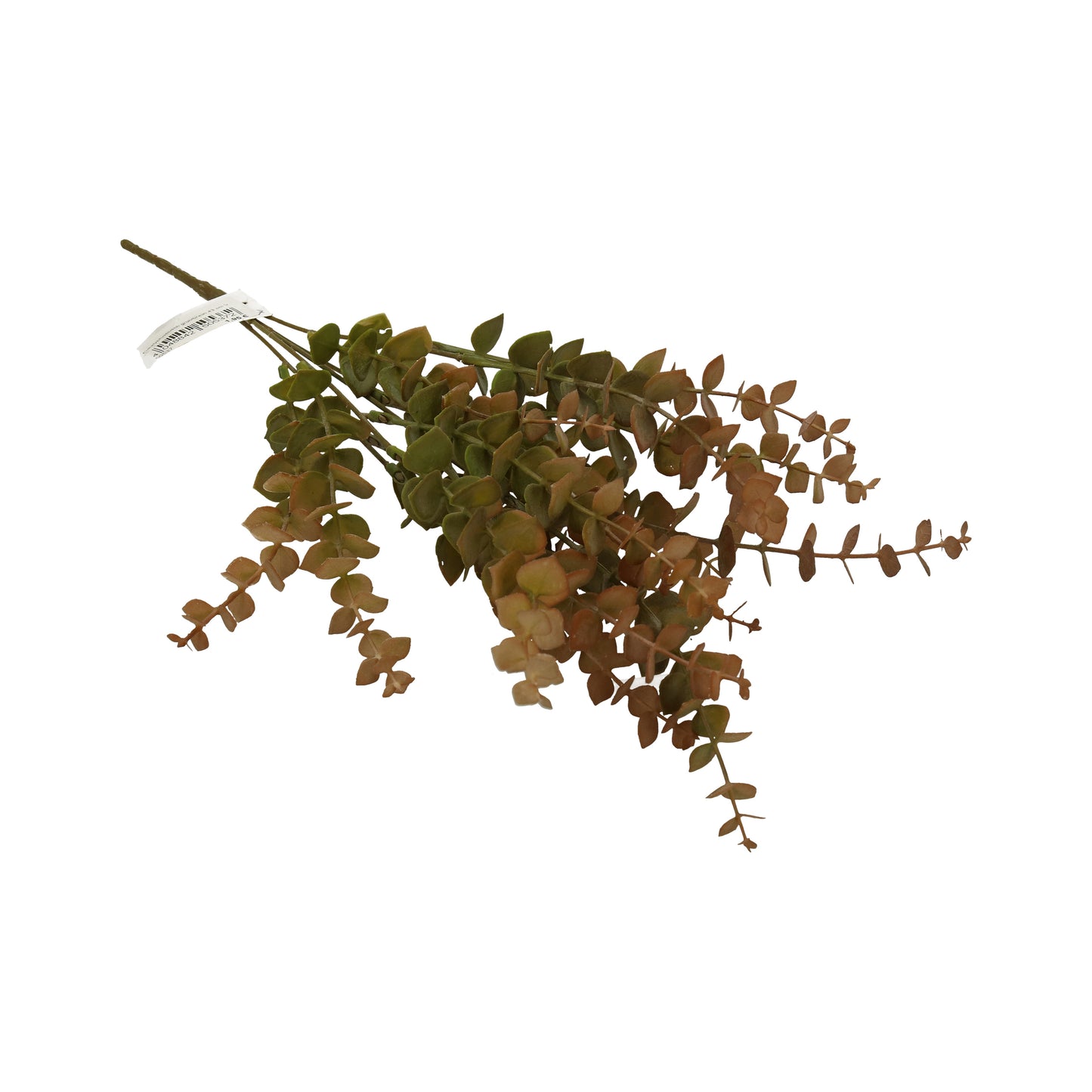 Eukalyptusbusch grün/braun 43 cm