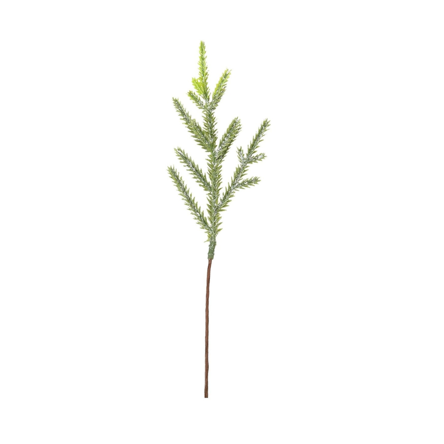 Zweig Tannenzweig 21cm