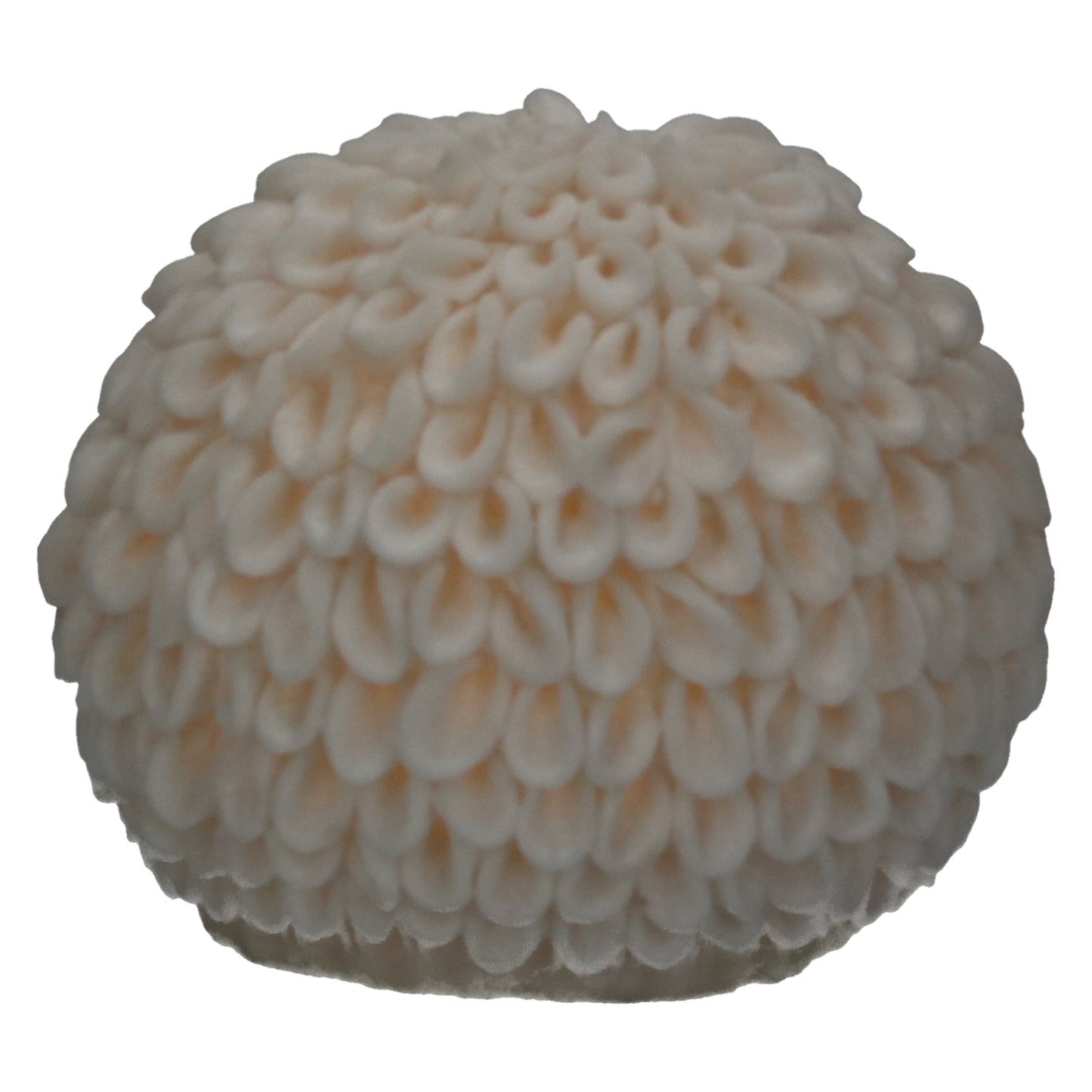 Lampe Kugel Dahlie beleuchtet