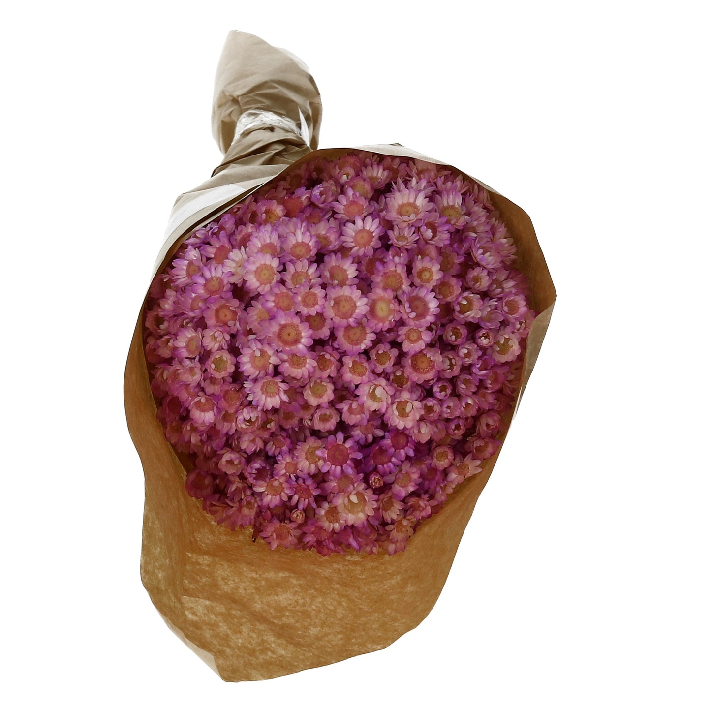 Natur Glixia 100 g 3 Farben