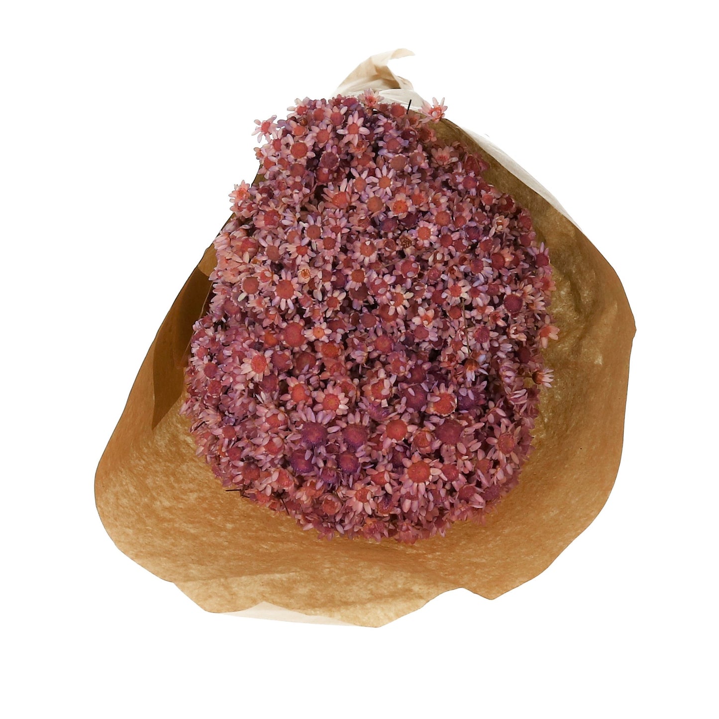 Natur Glixia 100 g 3 Farben