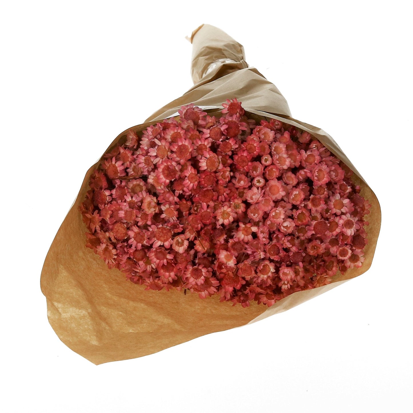 Natur Glixia 100 g 3 Farben
