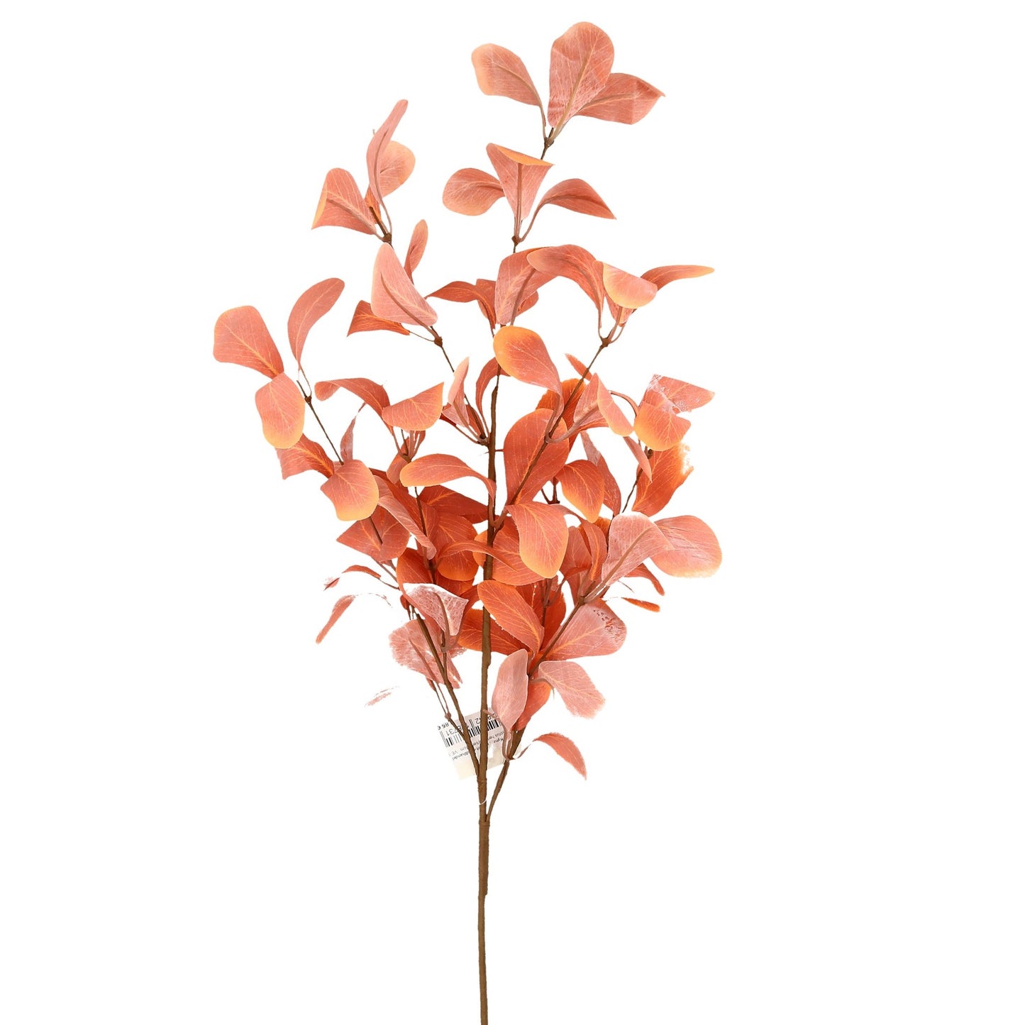 Zweig Eukalyptus orange 80 cm