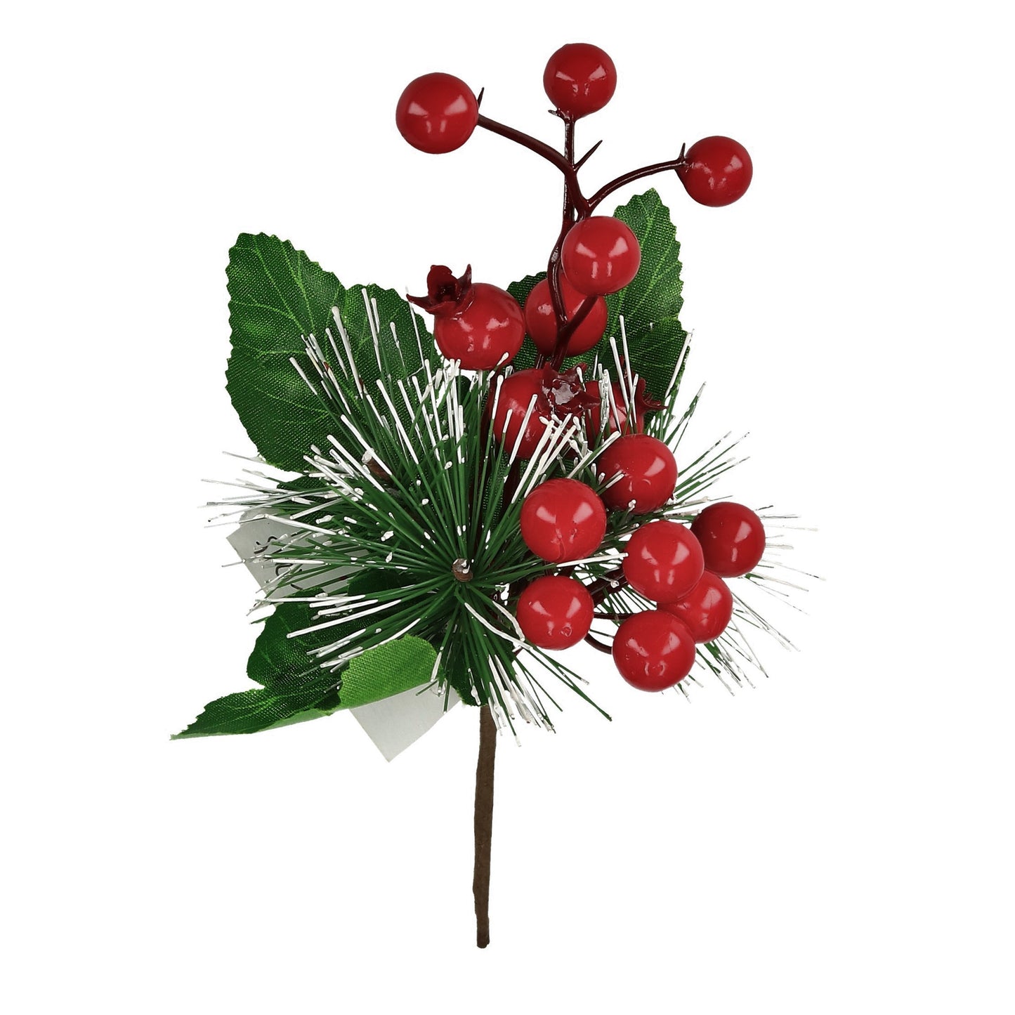 Pick Beeren rot, Kiefer, Blätter 21 cm