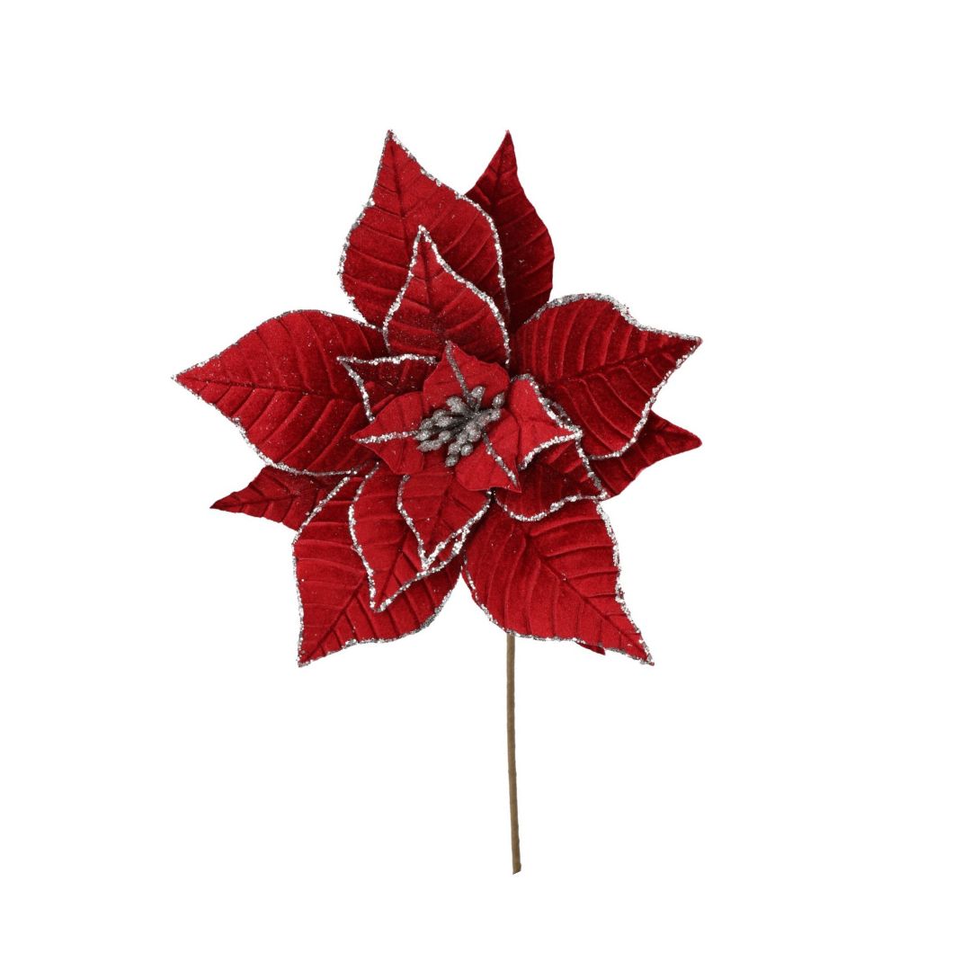 Pick Poinsettia rot mit silbernem Rand 2 Größen