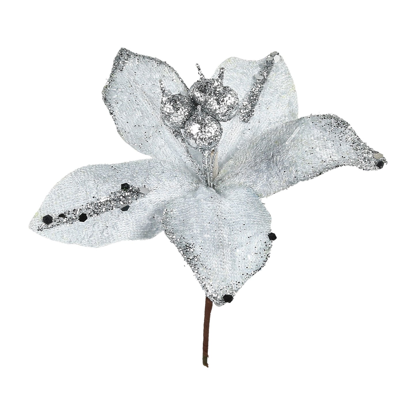 Blüte Christstern weiß/silber 18x10cm