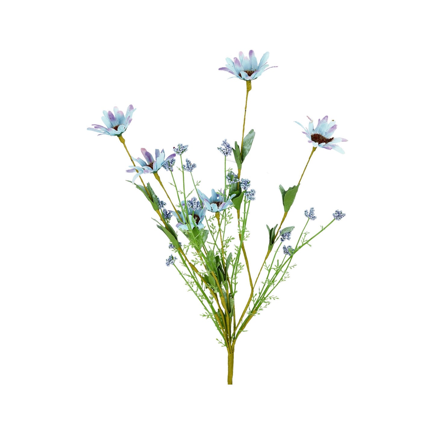 Strauß Margeriten blau