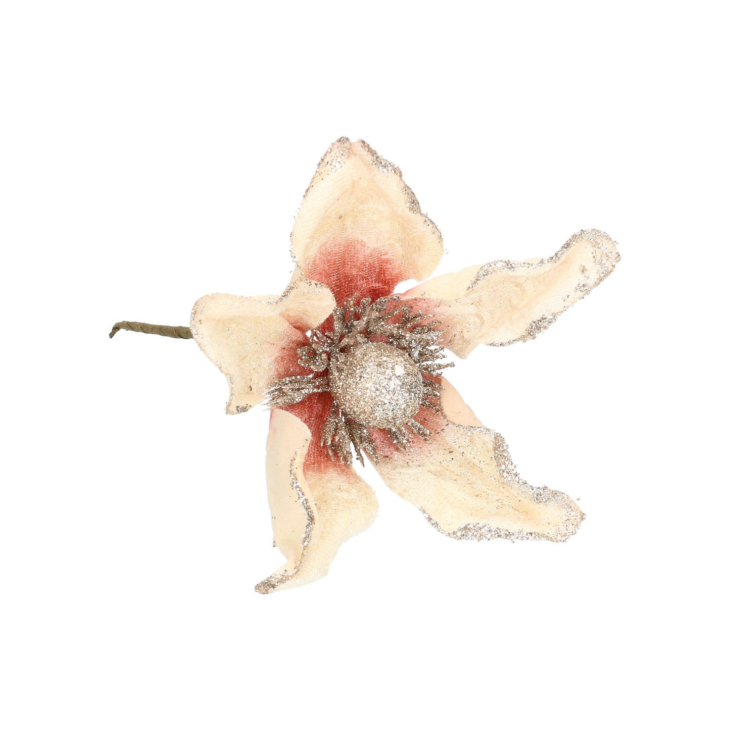 Blüte Magnolie rosé