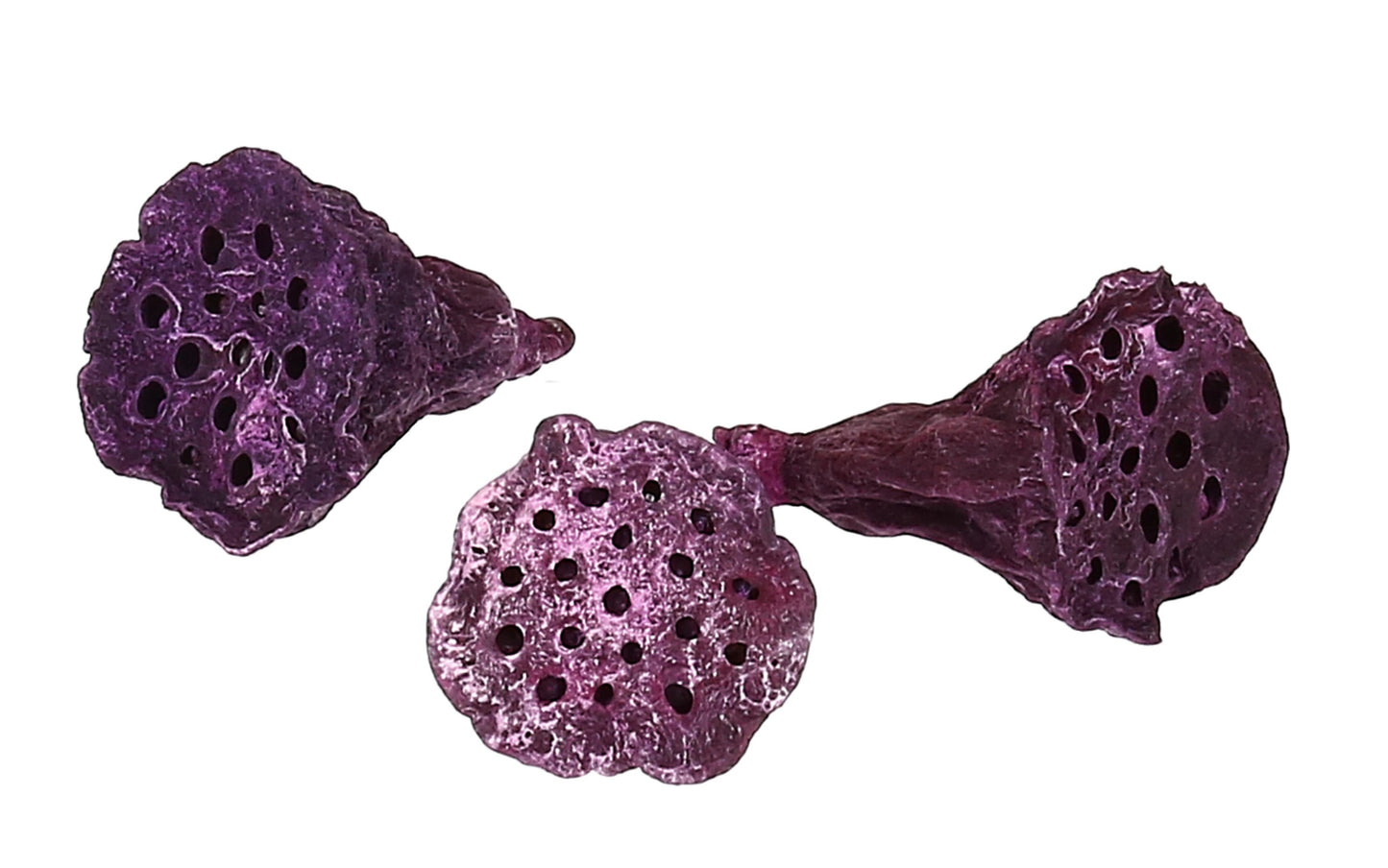 Natur Lotus mini brombeer gefrostet