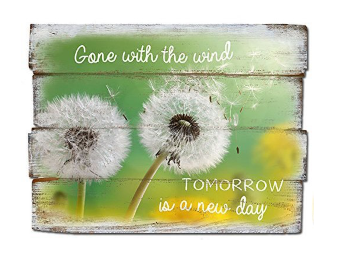 Bild "Gone with the wind. Tomorrow is a new day."