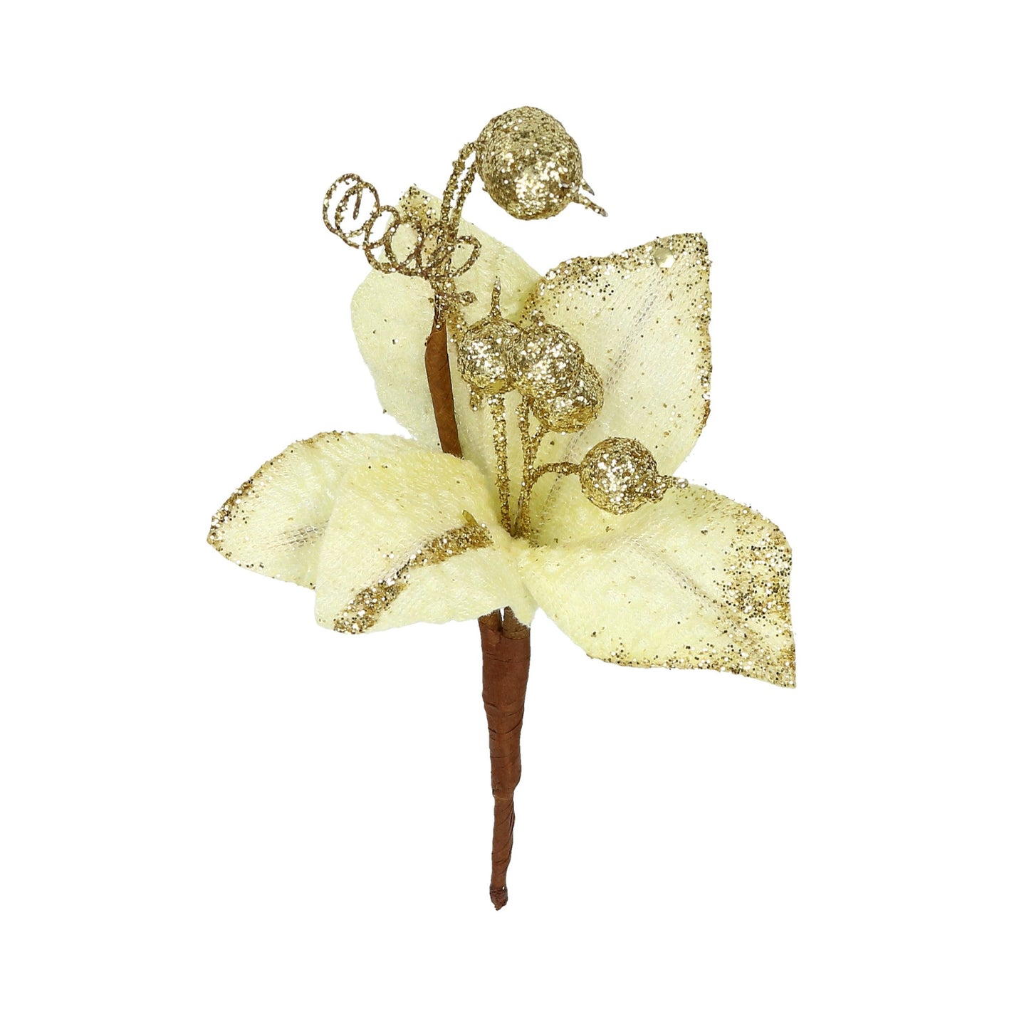 Blüte Weihnachtsstern creme/gold 21x10cm