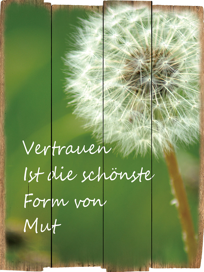 Bild "Vertauen ist die schönste Form von Mut"