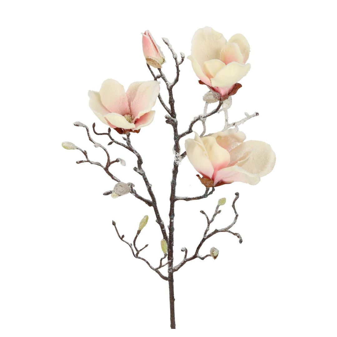 Zweig Magnolie weiß 2 Größen