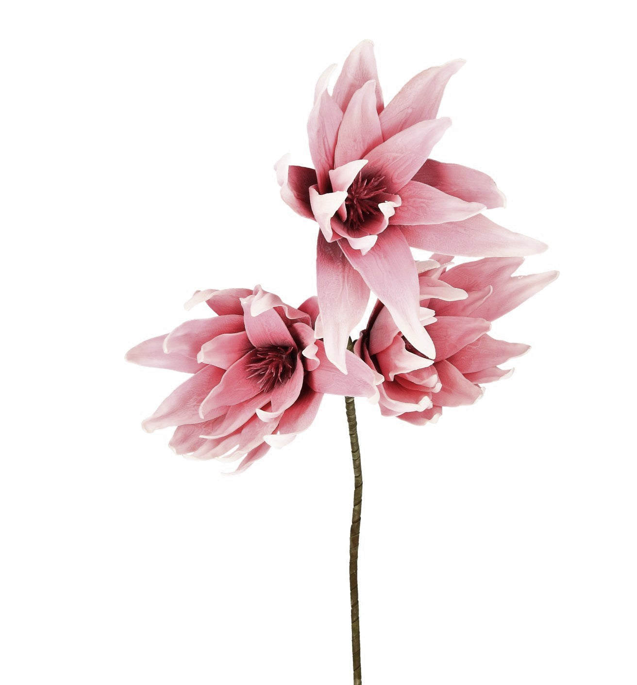 Schaumblüte rosa 3 Blüten