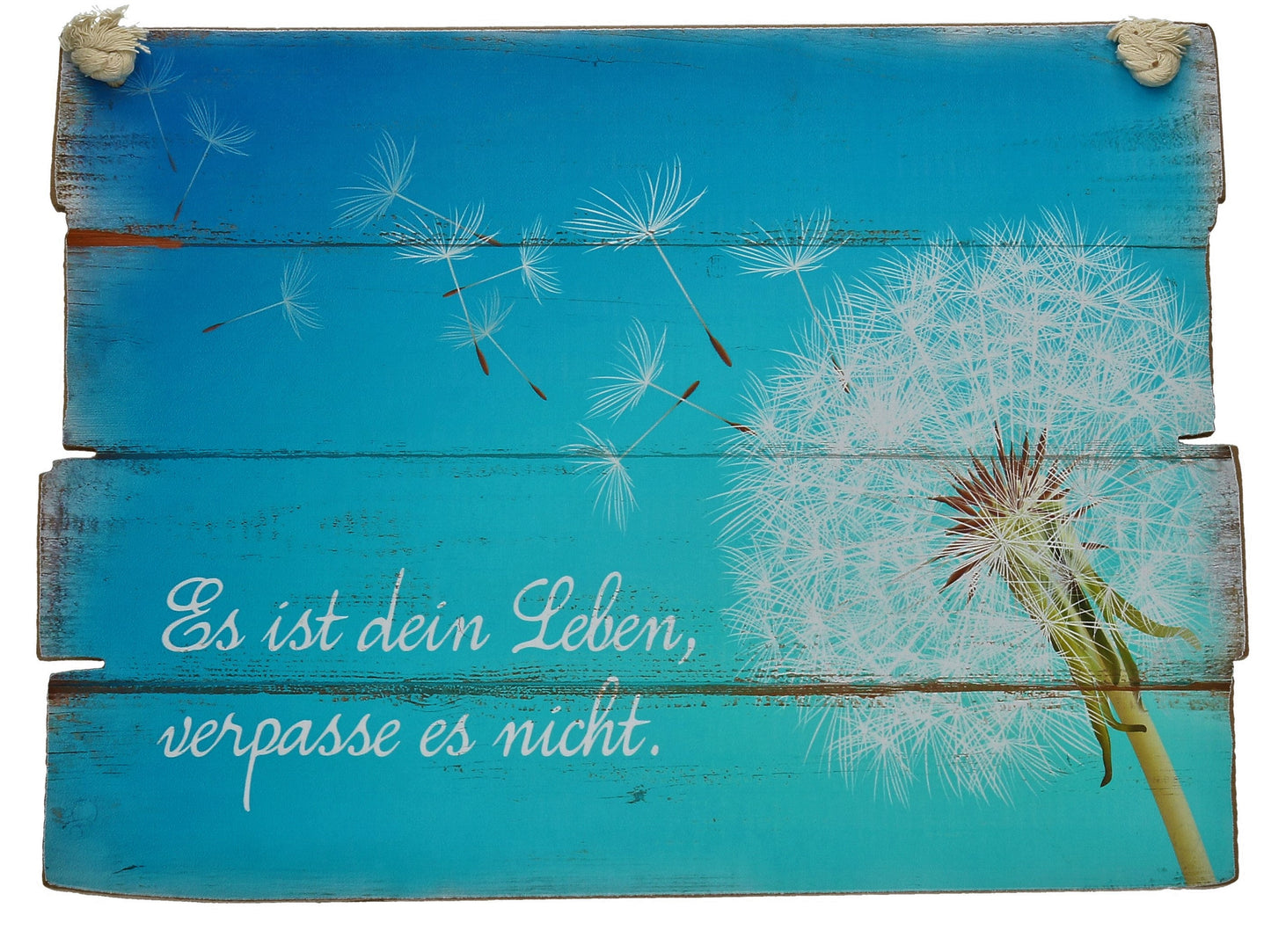 Bild "Es ist dein Leben, verpasse es nicht."