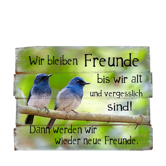 Bild "Wir bleiben Freunde bis wir alt ...