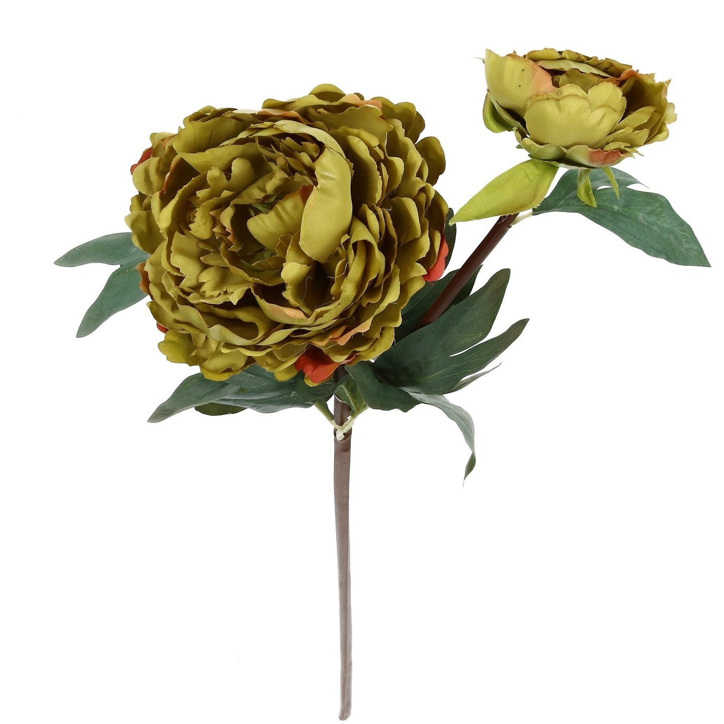 Blüte Pfingstrose 78 cm 3 Farben