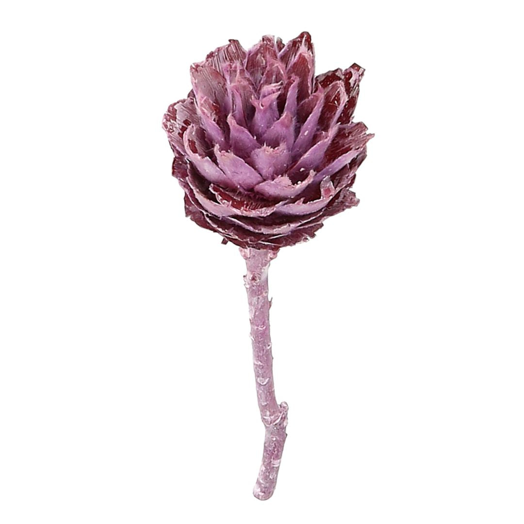 Natur Plumosum 50 Stck. brombeer gefrostet